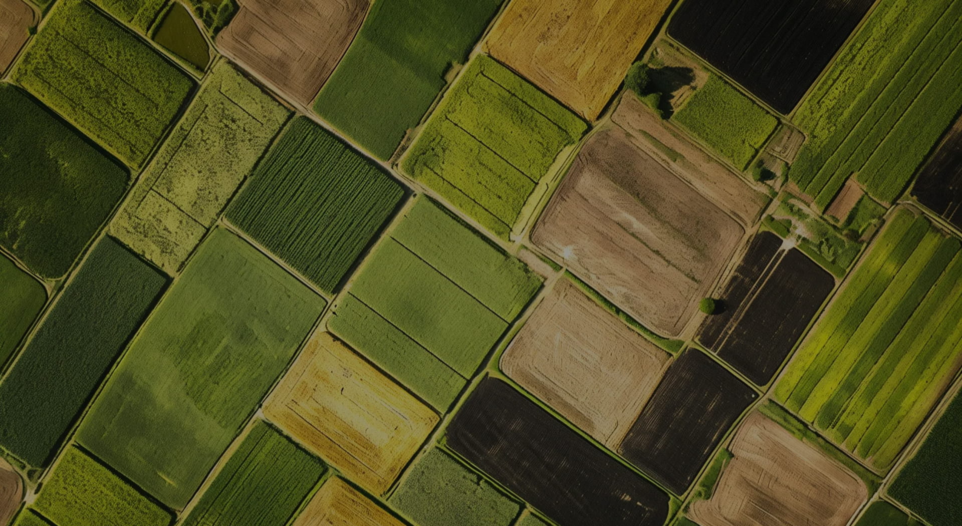 Agricultural Expansion